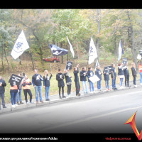 флагомахи для рекламной компании